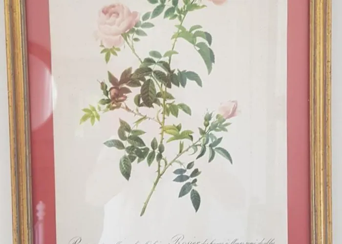 Romantische Nabij Centrum 3* Eindhoven