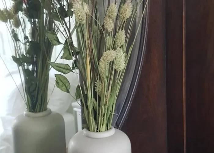 Romantische Nabij Centrum Couette-café 3*