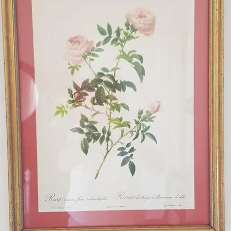 Romantische Nabij Centrum 3* Eindhoven